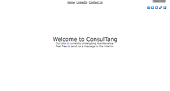Desktop Screenshot of consultang.com