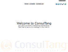 Tablet Screenshot of consultang.com